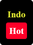 indohot.world